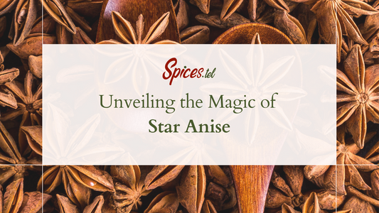 Unveiling the Magic of Star Anise